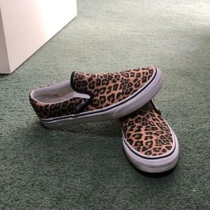 custom cheetah vans